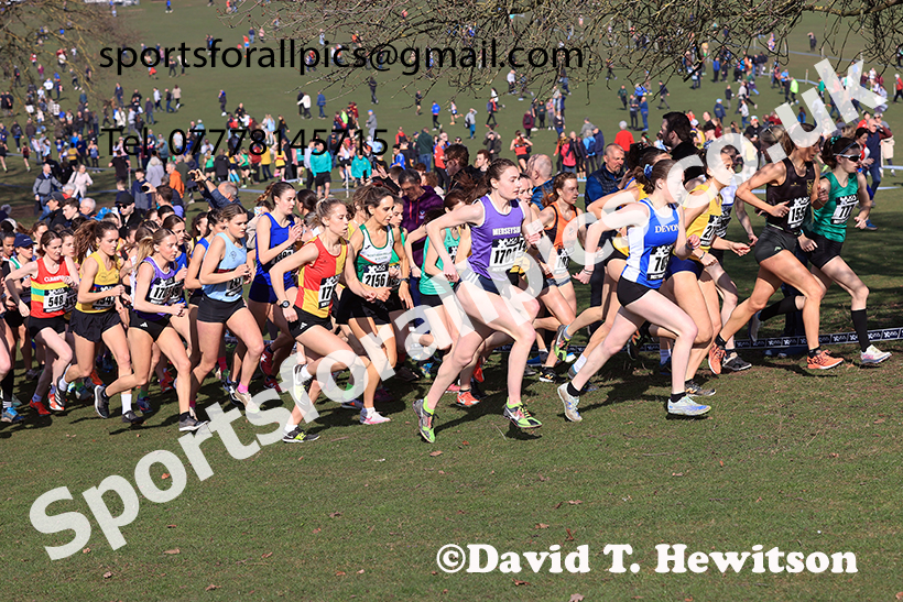 Senior womens 2025 UK CAU Inter Counties Cross Country Champs., Wollaton Park, Nottingham. Photo: David T. Hewitson/Sports for All Pics